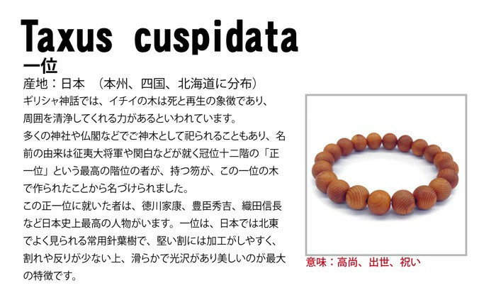 Japanese precious wood - Taxus Cuspidata Yew 18mm bracelet natural stones Health wealth stones