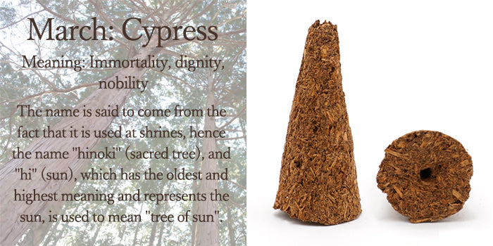 [Birthday Wood] Cone-shaped incense with holes [contains purifying salt] March Cypress