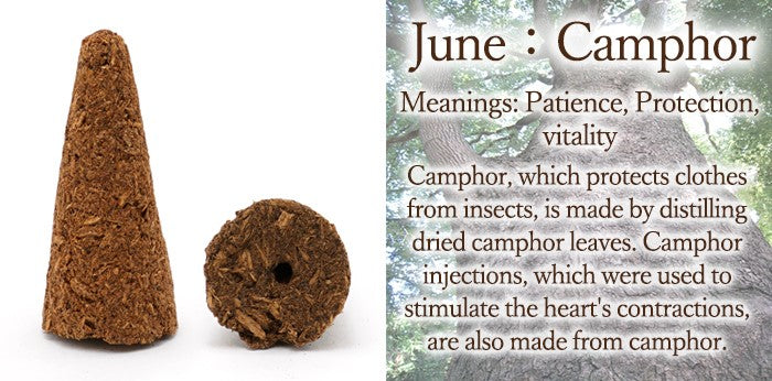 [Birthday Wood] Cone-shaped incense with holes [contains purifying salt] June Camphor