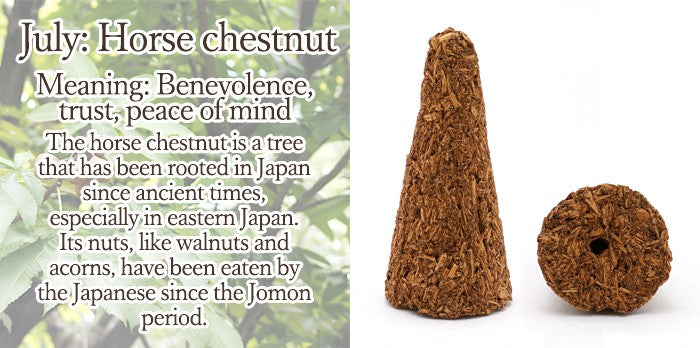 [Birthday Wood] Cone-shaped incense with holes [contains purifying salt] July Horse chestnut