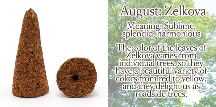 [Birthday Wood] Cone-shaped incense with holes [contains purifying salt] August Zelkova