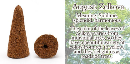 [Birthday Wood] Cone-shaped incense with holes [contains purifying salt] August Zelkova