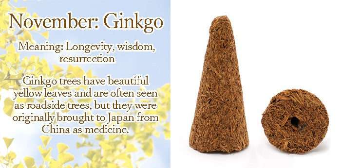 [Birthday Wood] Cone-shaped incense with holes [contains purifying salt] November Ginkgo