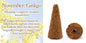 [Birthday Wood] Cone-shaped incense with holes [contains purifying salt] November Ginkgo