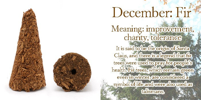 [Birthday Wood] Cone-shaped incense with holes [contains purifying salt] December Fir